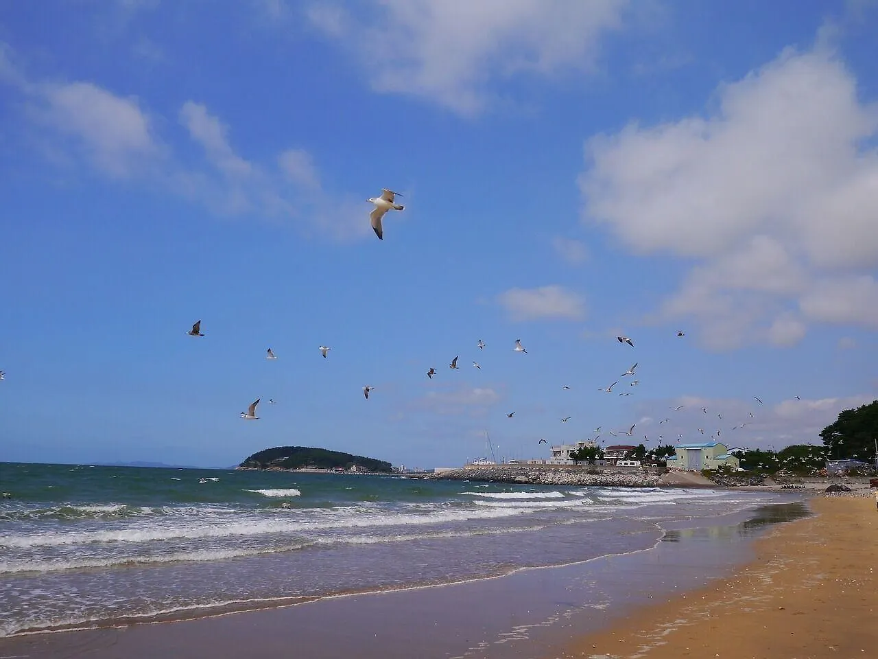 인천공항 게스트하우스 엘 인천